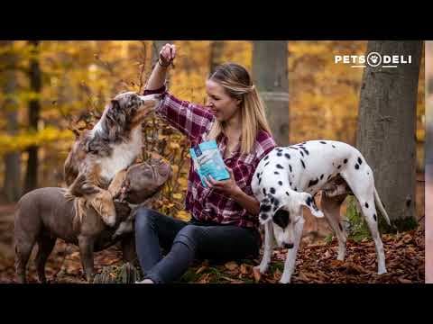 Brand Video