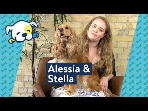 Alessia & Cocker Spaniel Stella
