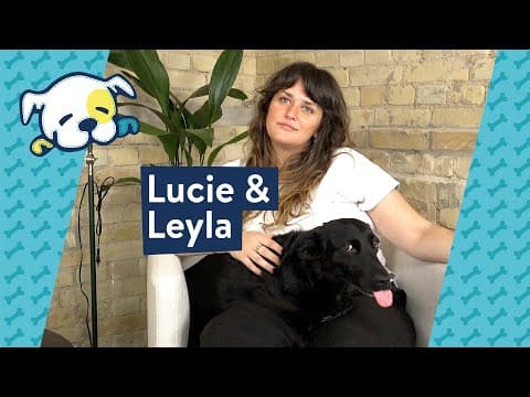Lucie & Labrador-Dackel-Mix Leyla